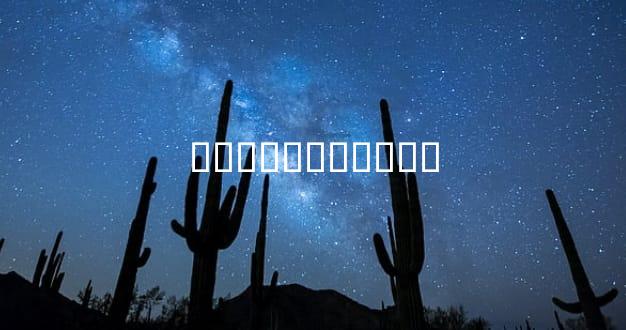 ��ƭ���ǰ����