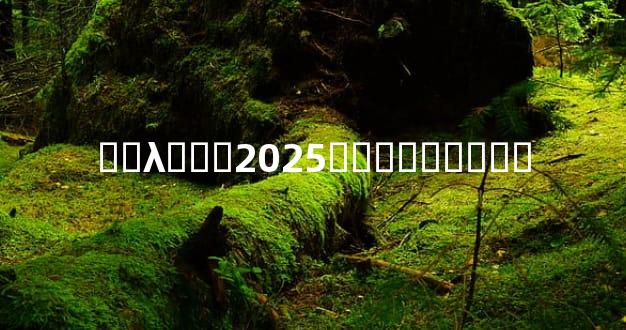 ��λ���2025��̫������