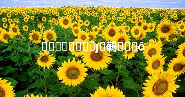 ��ϲ�յ���ȷ�鷨��ʲô