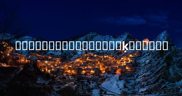 ��ѡ�ᳵ�����������ķ���ָ��