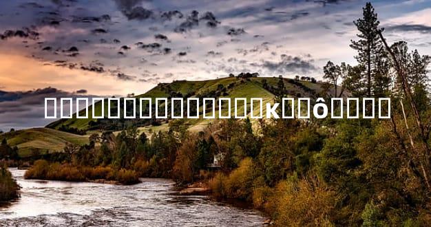 ���Ӳ��������۸�ĸ��ô����