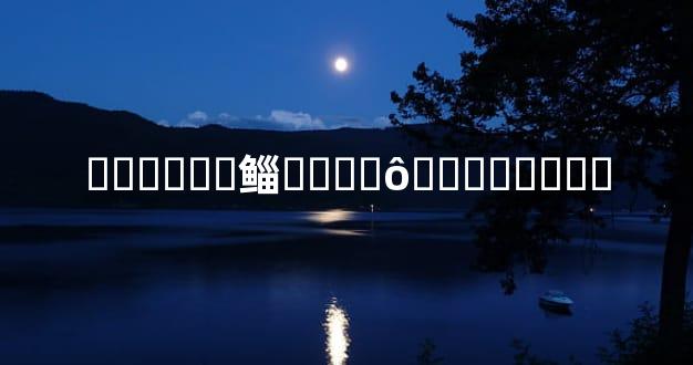 ���޸��鲻����ô��ػ�����