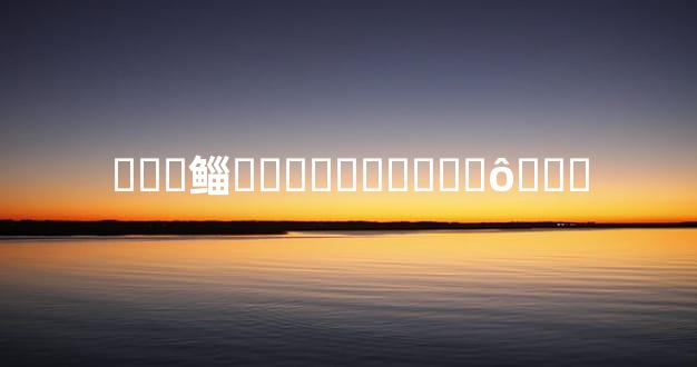 ���鲻�ͷ־�������ô֤��