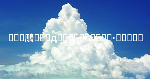 ���鵰��Ҫдɶ���ף����˼·���ȵ�