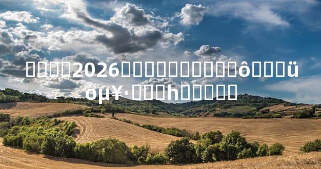 ����2026��Ƶ�������ô���ü򵥷���һ���Ͷ�