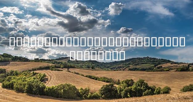 ����Ե����Ƹ������ۣ��������˵�ʵ��ָ��