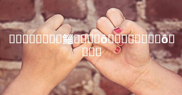 �����˸��鲻����ô�������ʲô����