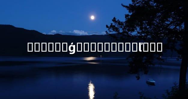 ������ģ�������Զ�ľ���