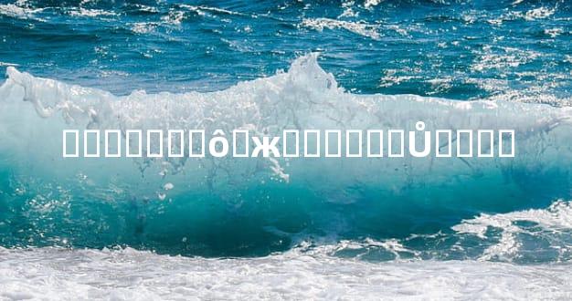 ������ʲô�ж������Ů����