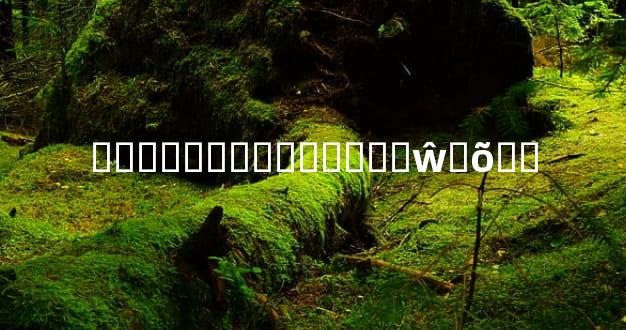 ��������꺬�����ŵ�õ��