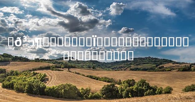 �𳬶�������Ϊ���������ѿ��Ѿ�������֮��