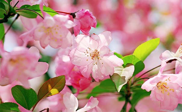 һķˮСؾ ʽϴŮ