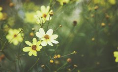 ڻǰַ 