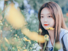 怎么查询已婚未婚?这5个小方法可以看看