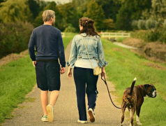 怎样才能跟前任复合,挽回中情绪重要吗?