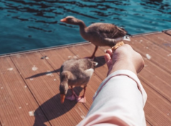 寒假适合带孩子去哪里旅游,提高孩子的眼界