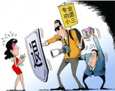 专业找小三团队,也称小三劝退师或者分离师,其工作内容是这样的