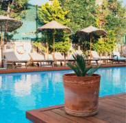 种生基改变运气吗,如何利用种生基提升运势