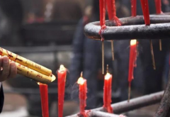 种生基流程你知道吗?种生基的好处和坏处有哪些