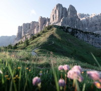 种了生基个人运势会如何,三种人运势会变好