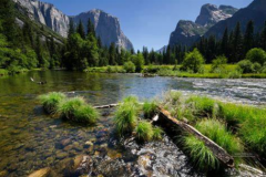 种生基时间,如何选择?