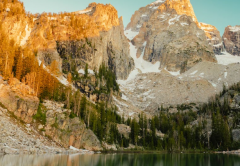 什么情况下不能种生基,经济条件不好的人千万别做!