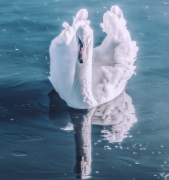 催婚副作用,被催婚毁掉的年轻人