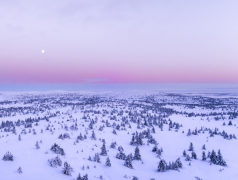 情感难题解惑:夫妻感情好为何要出轨?