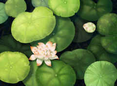 种生基的起源:一种古老而神秘的风水学