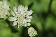 种生基为什么能改运 其原理和注意事项