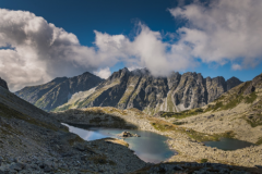 什么是种生基,种生基基础知识分享