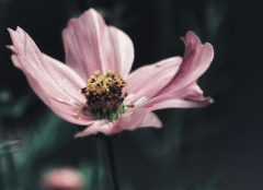 Ϲ˻ϵôؼ