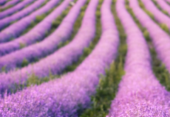 老公婚内出轨了该怎么办,冷静是必须要做到的