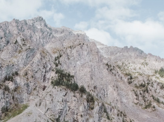 种生基见效反应主要有三点,需要细心体会