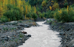 年轻人种生基好吗,多为求财和姻缘