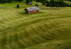 金剪刀能斩烂桃花吗,怎样才能彻底化解烂桃花