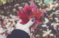 如何和男性死党相处,注意这些让你的友谊长久