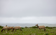 什么是阴宅生基 生基做法改变命运