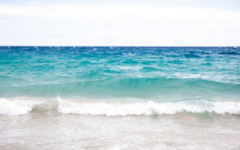 通过种生基来改变自身的命运 有何效果和后果呢