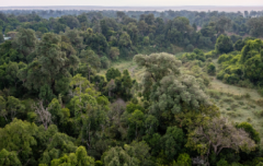 种生基方法和口诀 不要触犯禁忌导致生效的时间延长