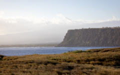 种生基的好处 哪些人能种生基呢