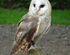 学习怎么打动女孩子的心 让对方感觉到你的真诚和重视